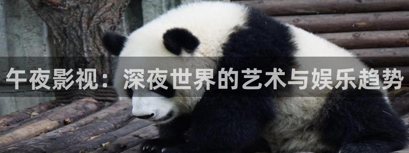 97影视电视剧免费观看星空影视