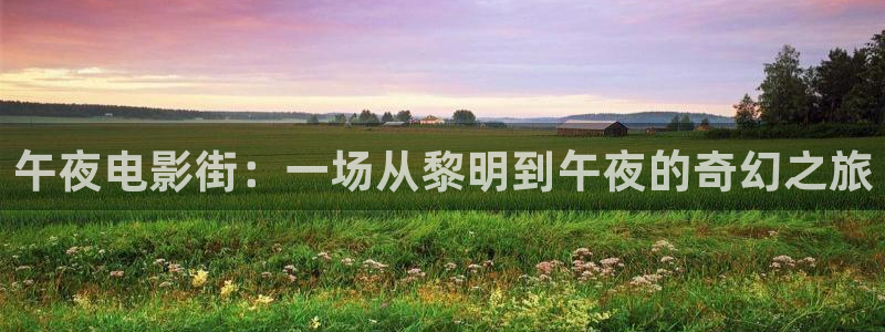 无所畏惧星辰影院