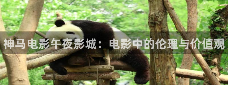 星空影视 中国