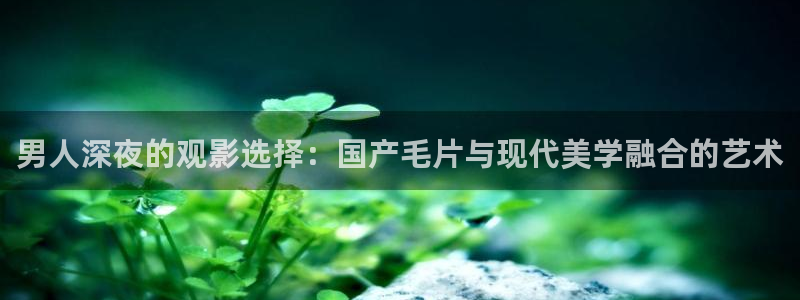 星辰影院在线观看免费全集