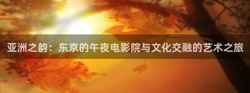 星空影视 中国
