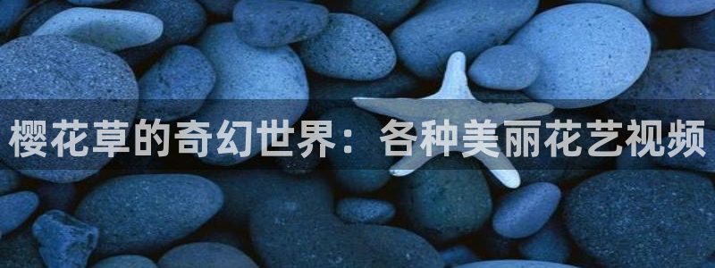 星空影视 在线播放