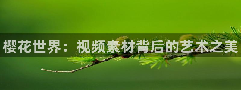 长寿星辰影院