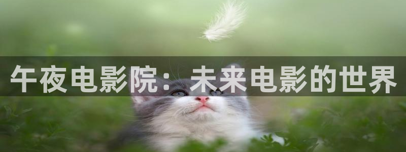 星辰影院电视剧免费大全最新