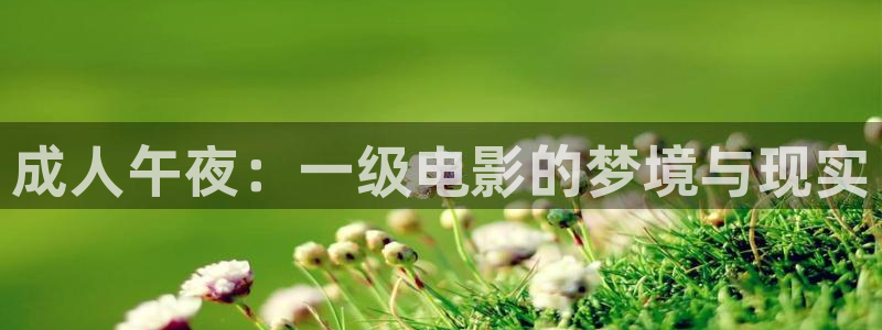 电影星空在线观看