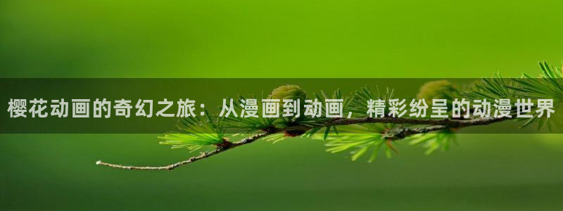 台湾电影星空