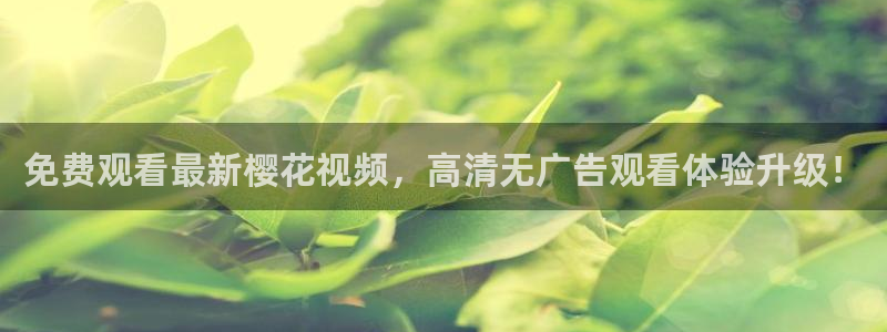 星空影视传媒