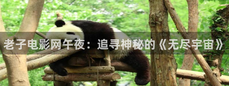 星空影视破解版下载