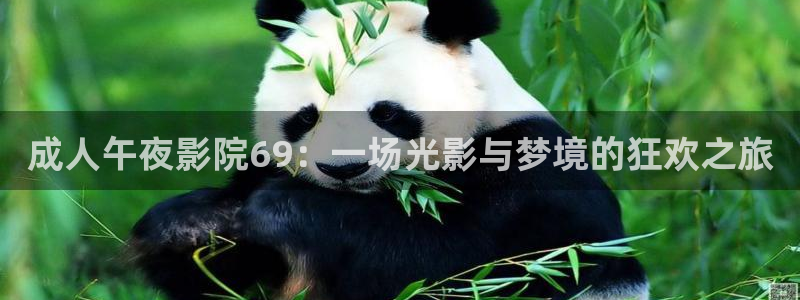 都盛星空全部电影