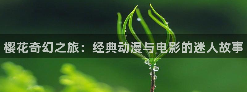 星辰影院免费播放电视剧