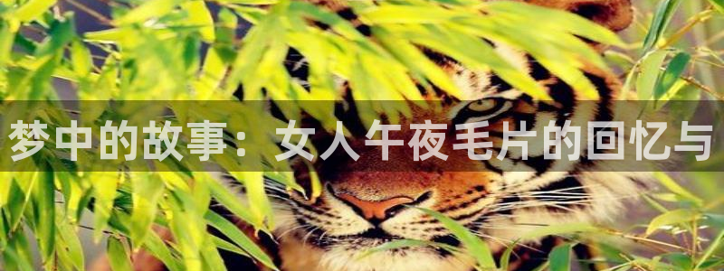 星辰影院策驰影院星辰影院