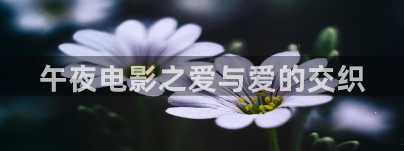星辰影院免费观看完整版高清