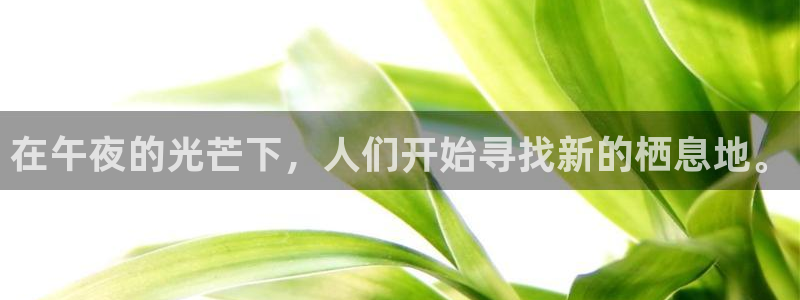 星空影视免费