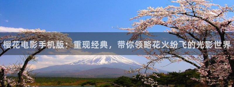 星空视频素材高清