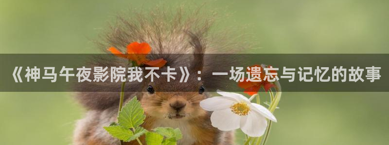 星空传媒观看
