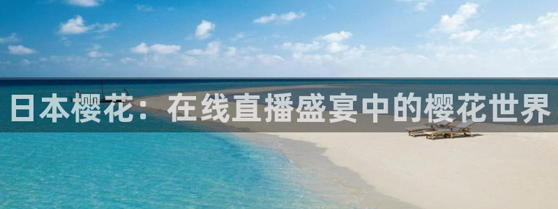 星辰影院电视剧免费播放