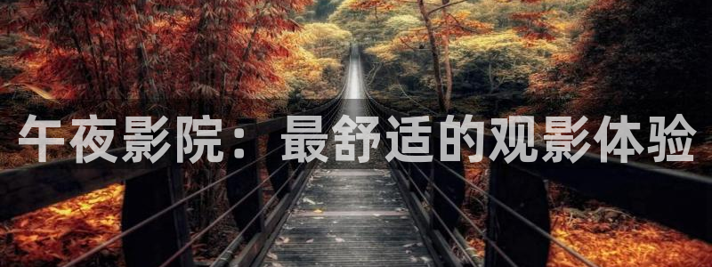 星辰影院免费观看电视剧最新版
