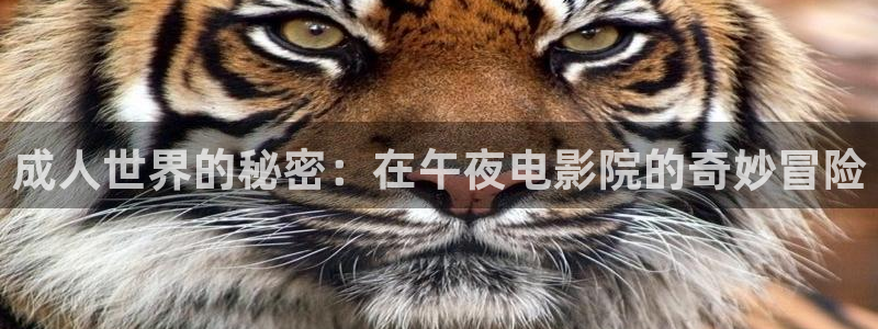 乳房与月亮免费观看星空影视