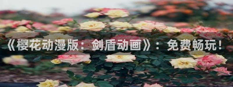 星空午夜影院