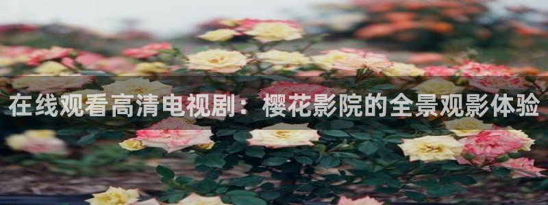 星空国际影院