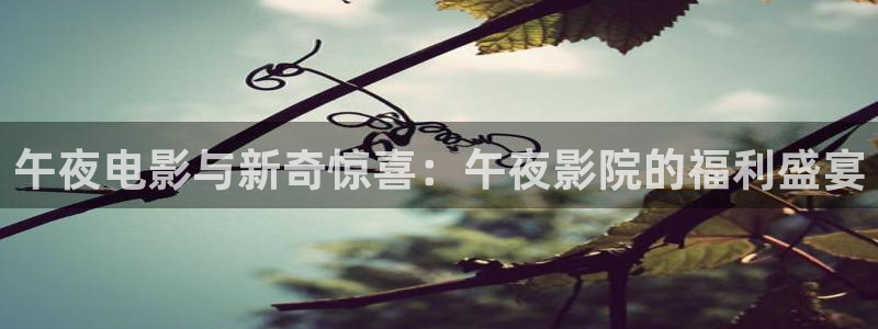 星空传媒在线观看