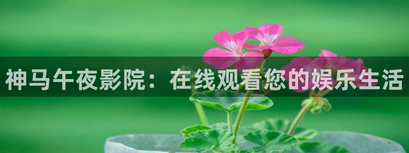 星辰影院免费观看高清完整版