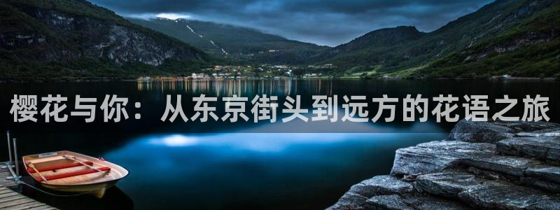 星辰影院电影在线观看完整免费