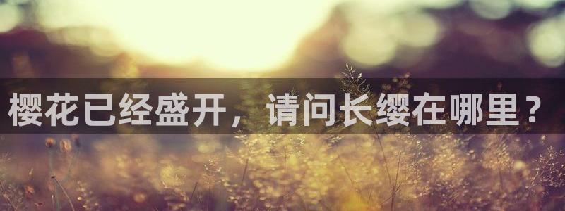 星空影视大全高清版
