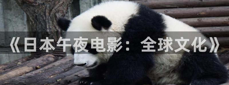 星辰影院免费电影在线观看