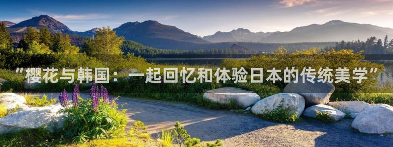 星空电影网 1080p