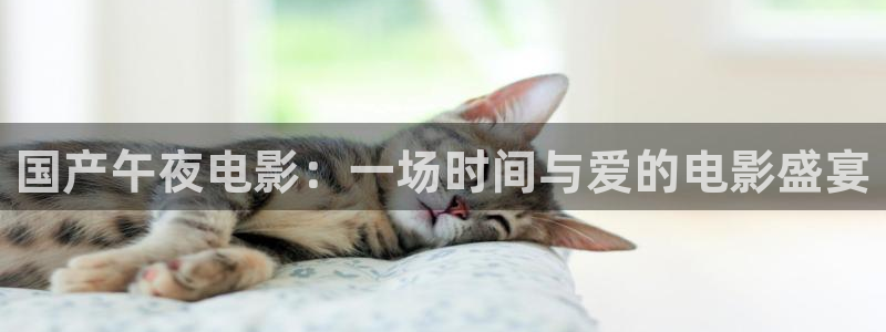 星空电影影院在线观看免费完整版高清
